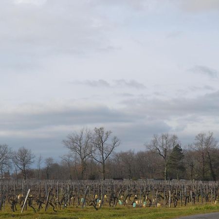 Maison Bertineau Proche Saint-Emilion Néac Exteriér fotografie
